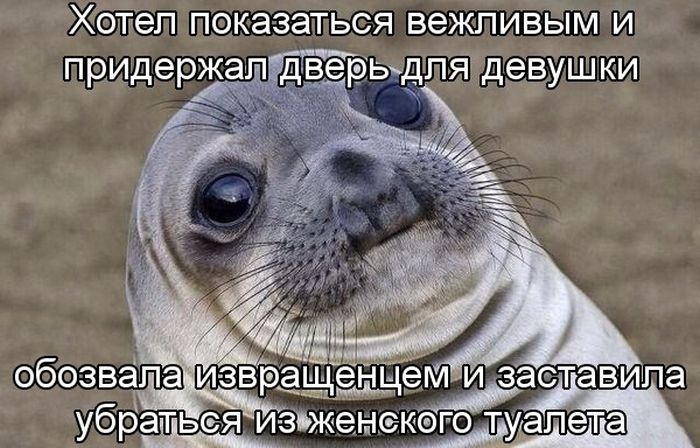 Прикольные картинки (102 фото) Прикольные картинки (102 фото)