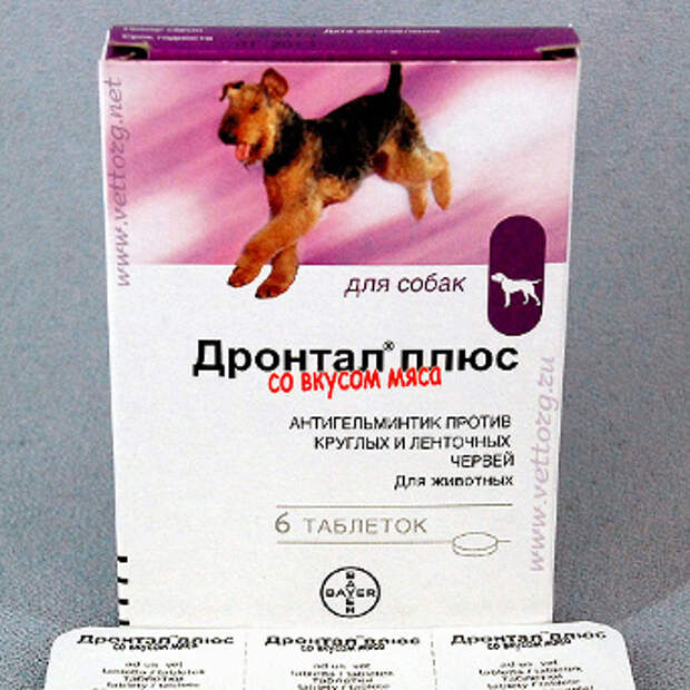 лекарство  от глистов  для собак
