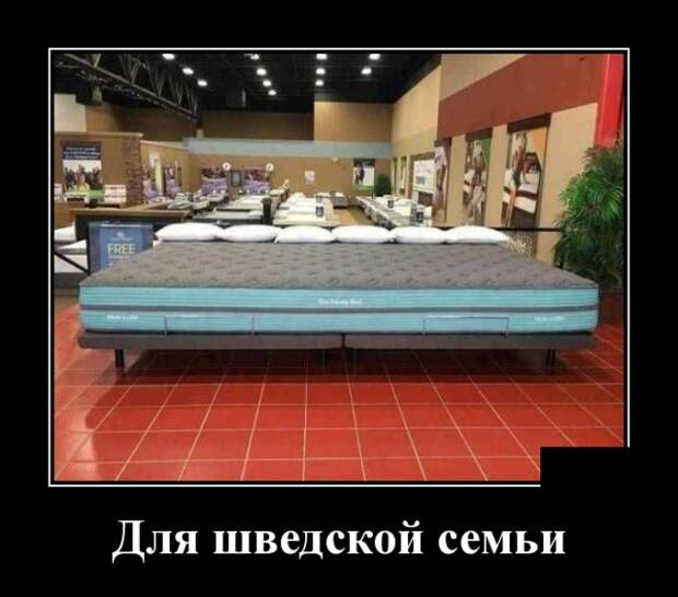 Демотиваторы (30 фото)
