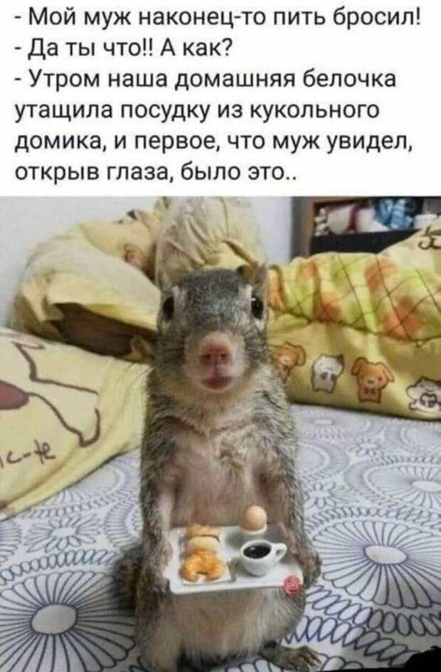 Пить бросил )