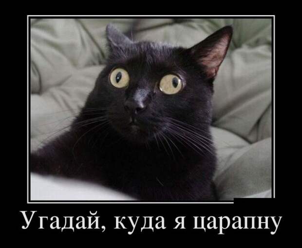 Веселые демотиваторы на субботу (11 фото)