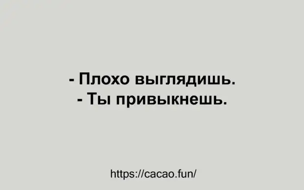 Смешные анекдоты и веселые высказывания, которые точно вам пригодятся
