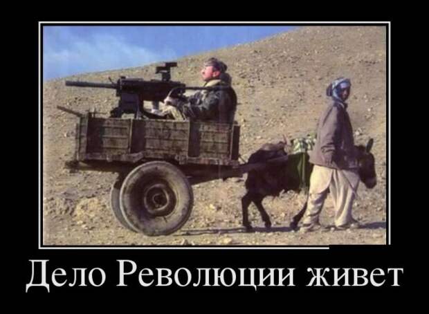 Демотиваторы (30 фото)