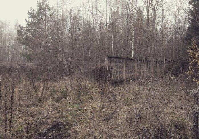 Спрятан в лесу.