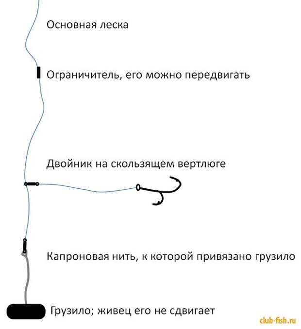 Как правильно готовить снасть на живца на щуку на судака