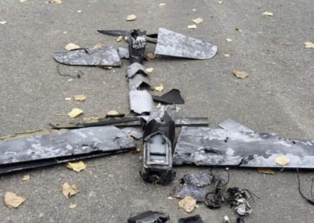 «Никто ни разу не договорился с террористами». Что говорят об атаке Зеленского на резиденцию Путина?