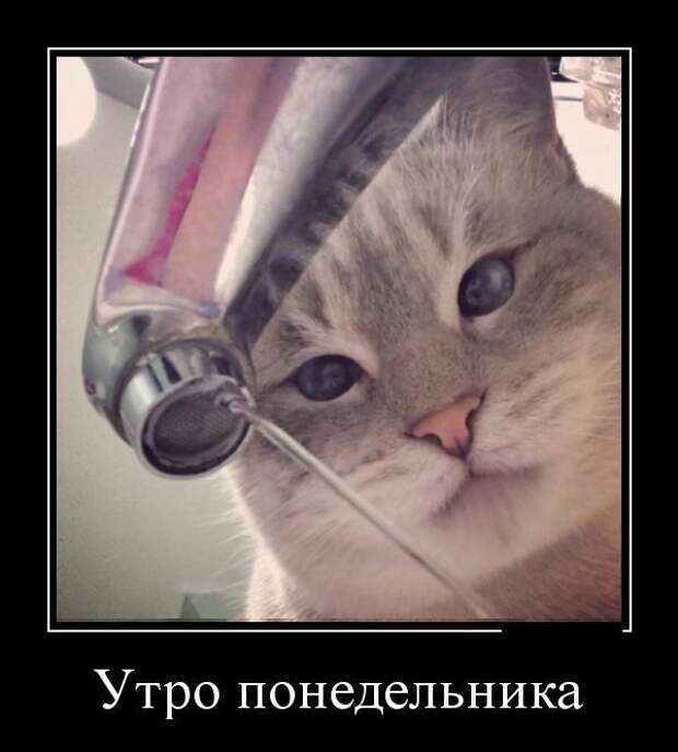 Снова демотиваторы!