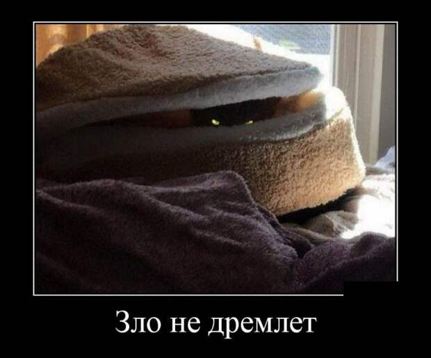 Демотиваторы (30 фото)