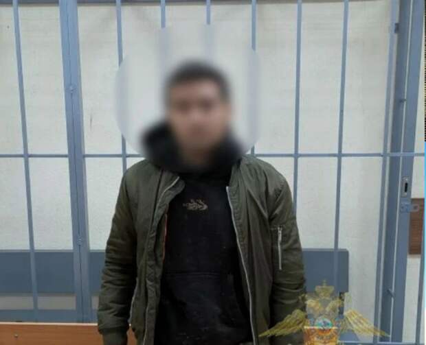 Сварщика из Азии в Тульской области арестовали за пропаганду в соцсетях