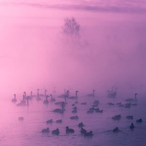 Фотографии с самыми красивыми видами Алтая
