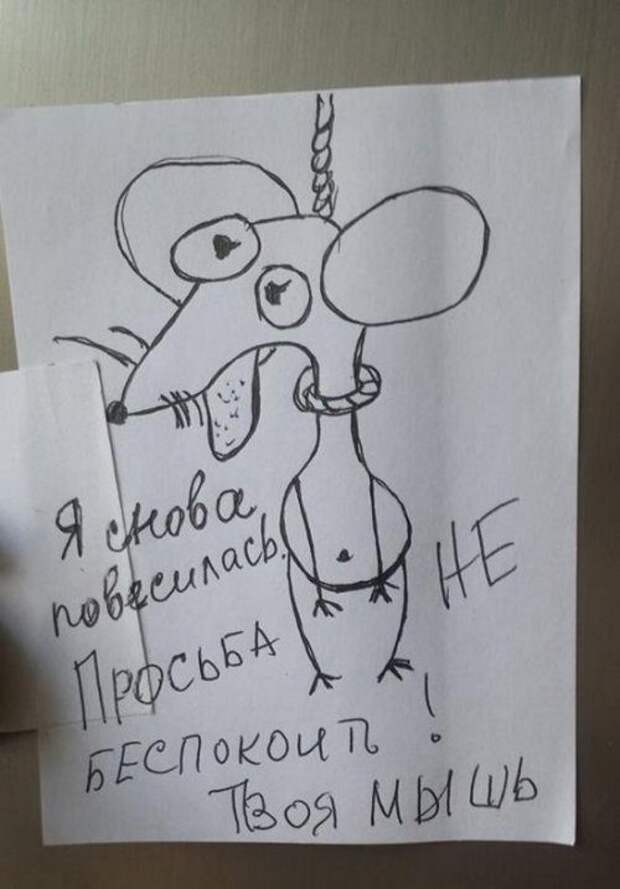 Смешные записки на холодильниках