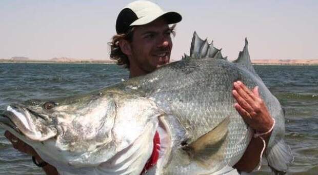 bolchoi okun 600x330 Топ 10 Самые большие пресноводные рыбы в мире