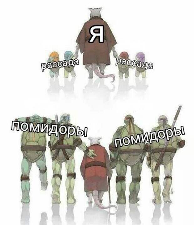 www.vsyako.net