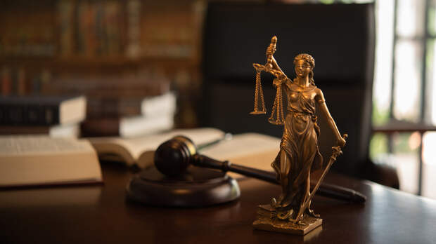 Юридические вузы включат в учебную программу дело Долиной