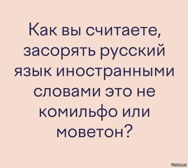 На изображении может находиться: текст «как вы считаете, засорять русский язык иностранными словами это не комильфо или моветон? Fishkinet»