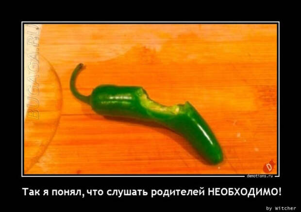 Большая коллекция демотиваторов: «Так я понял, что слушать родителей необходимо»