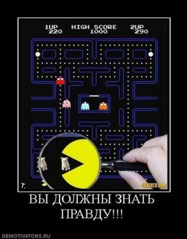 Есть свободная минутка? Удели ее смешным демотиваторам.