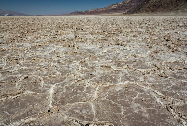 Salt Flat