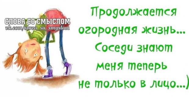 Прикольные фразочки в картинках (25 фразочек)