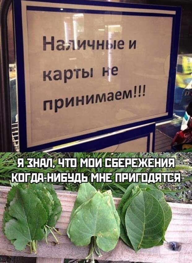 Подборка картинок. Вечерний выпуск (20 фото)