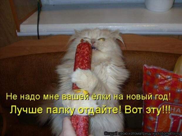 Котоматрицы на Новый год