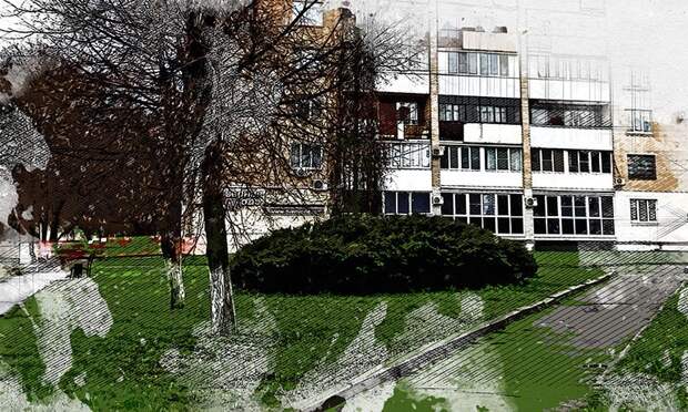 Власти Орла пообещали сохранить можжевельник в сквере Альберта Иванова