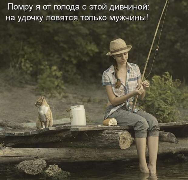 Лучшие котоматрицы недели