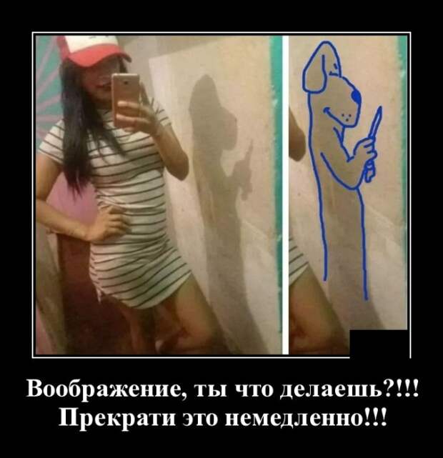 Демотиваторы (20 фото)