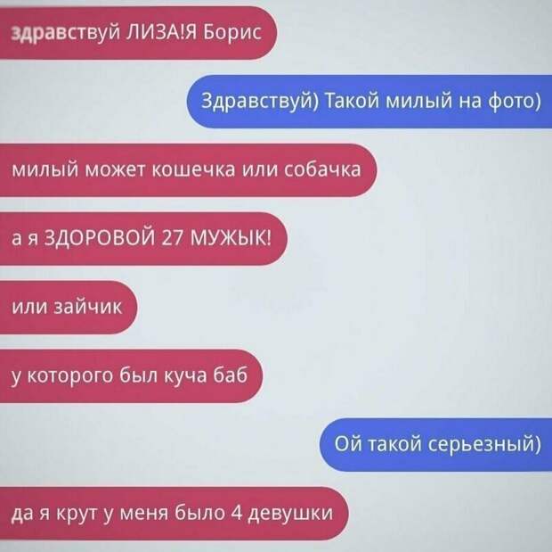 Даже не поспоришь альфа-самец, альфач, знакомства, отношения, прикол, романтики, смешно, фото