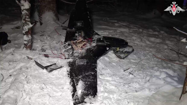 Минобороны России раскрыло детали отражения атаки на валдайскую резиденцию Путина