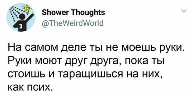 Философское instagram, смешно, смешные комментарии, соцсети, твиттер, юмор