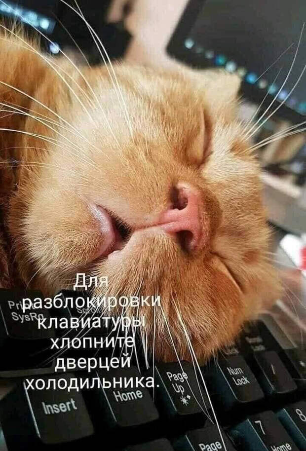 Источник изображения - Pinterest