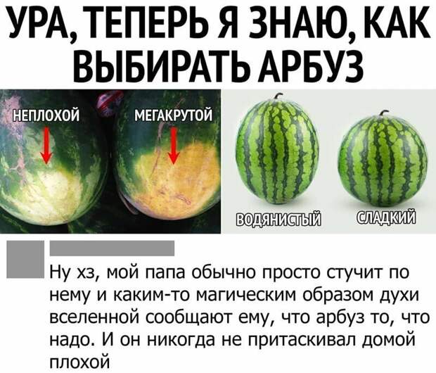 Мудрость поколений пропущенная через фильтр соцсетей instagram, twitter, интересно, лайфхаки, приколы, смешно, соцсети, шпаргалки