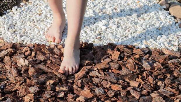 Как выбрать материал для садовых дорожек