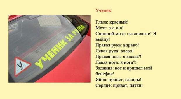 Смешная классификация водителей (8 фото) Смешная классификация водителей (8 фото)