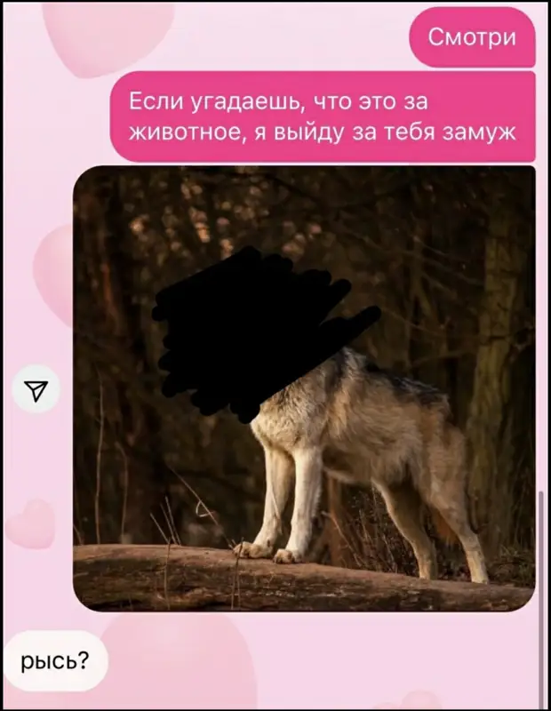 Я не ищу идеалов - просто нужно, чтобы человек меня понимал и мыл посуду! говорит, следующее, Давиду, доктору, Абрам, сосед, своим, приятелям, Короче, замуж, отдадите, заплачу, столько, золота, сколько, европейкуВот, весит, отвечаю, таком, вопросе