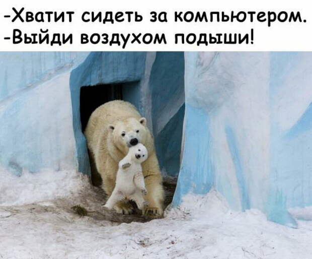 Двадцать лучших шуток недели в картинках