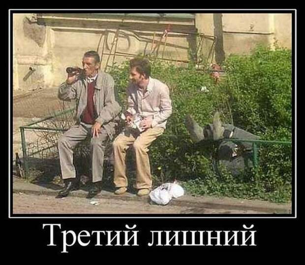 Демотиваторы (30 фото) Демотиваторы (30 фото)