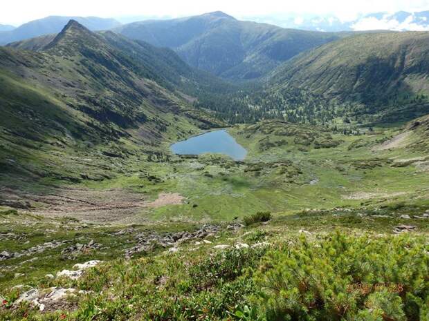 Природа России 91