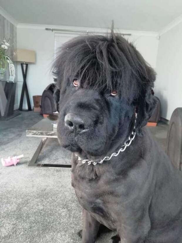 I'm sexy and I know it!
