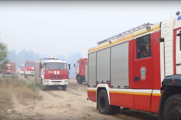 Площадь лесного пожара под Рязанью увеличилась до 183 га