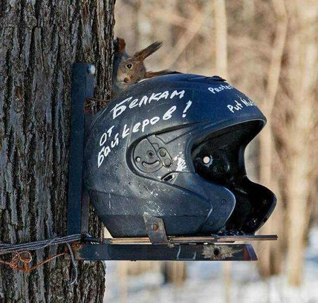 Всё в кучу 30