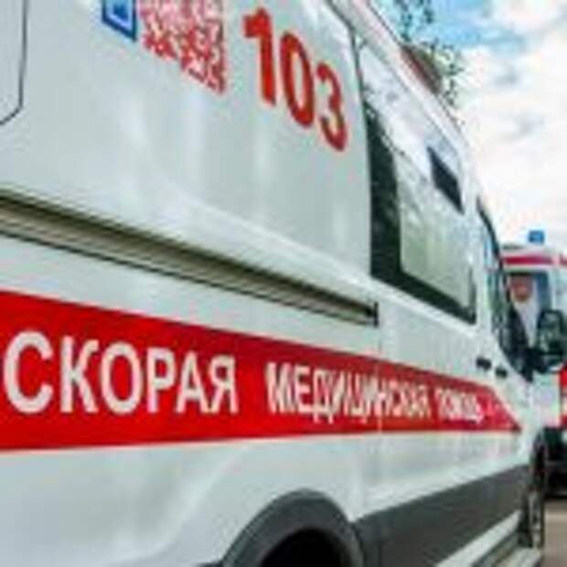 Ракова: В Москве растет число заболеваний коронавирусной пневмонией. Фото: mos.ru