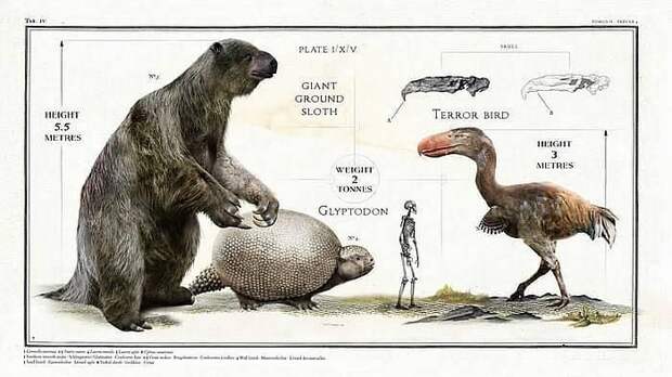 Древние животные-гиганты, по сравнению с которыми человек - просто козявка
