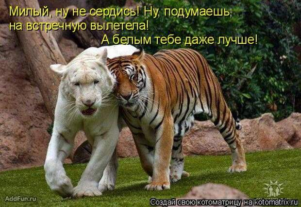 смешинка