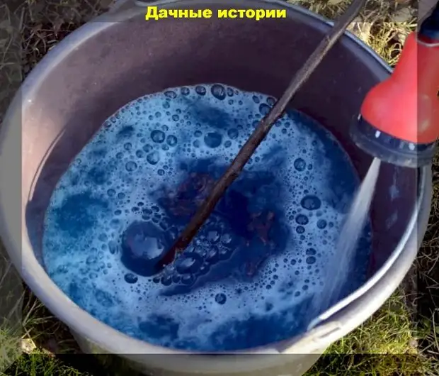 Бордоская жидкость: эффективное средство пропив трудновыводимых вредителей