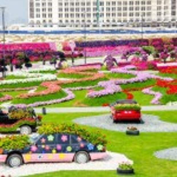 Dubai Miracle Garden