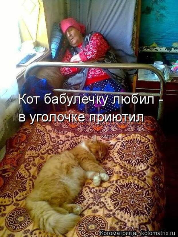 1411716307_kotomatricy-32