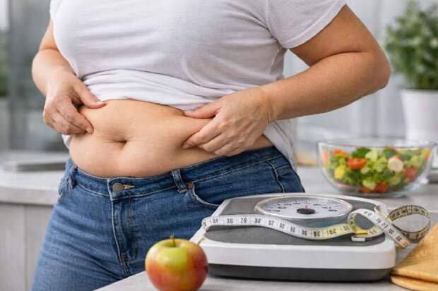 Роль печени в накоплении жира и обмене веществ