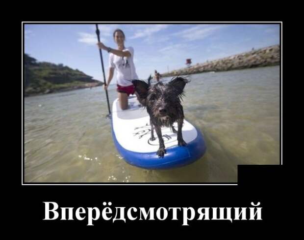 Демотиваторы (30 фото)